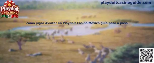 Guía visual para comprender las reglas y las apuestas de Aviator en Playdoit Casino México